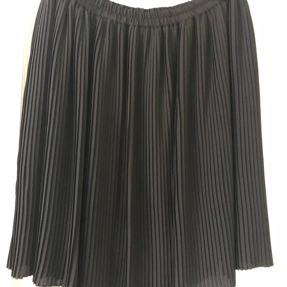 Black Pleated Skirt